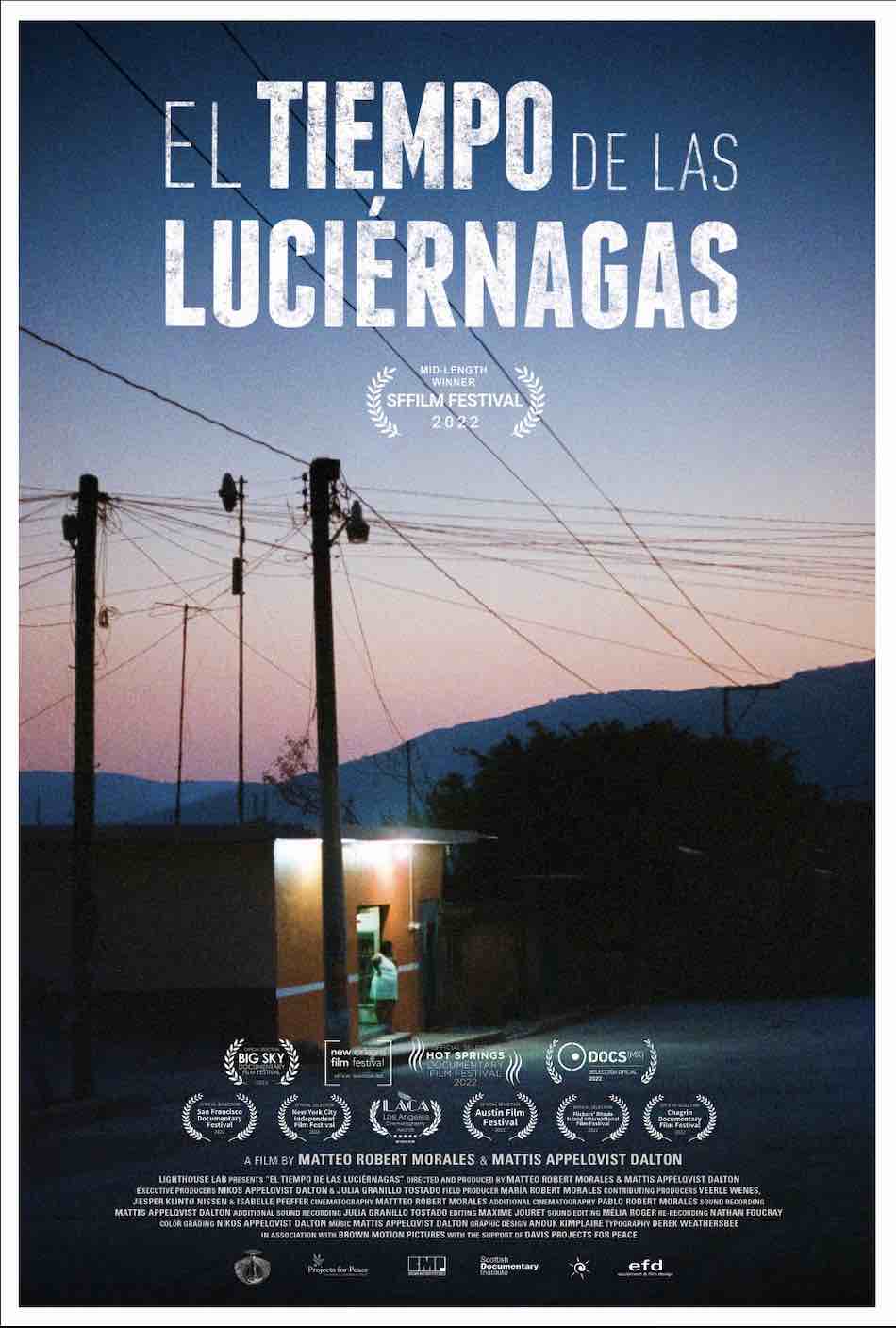 The Time of the Fireflies Cover